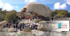 L'Associu Fretu Anticu à Grossetu