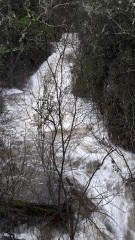 La cascade de Pisciaronu